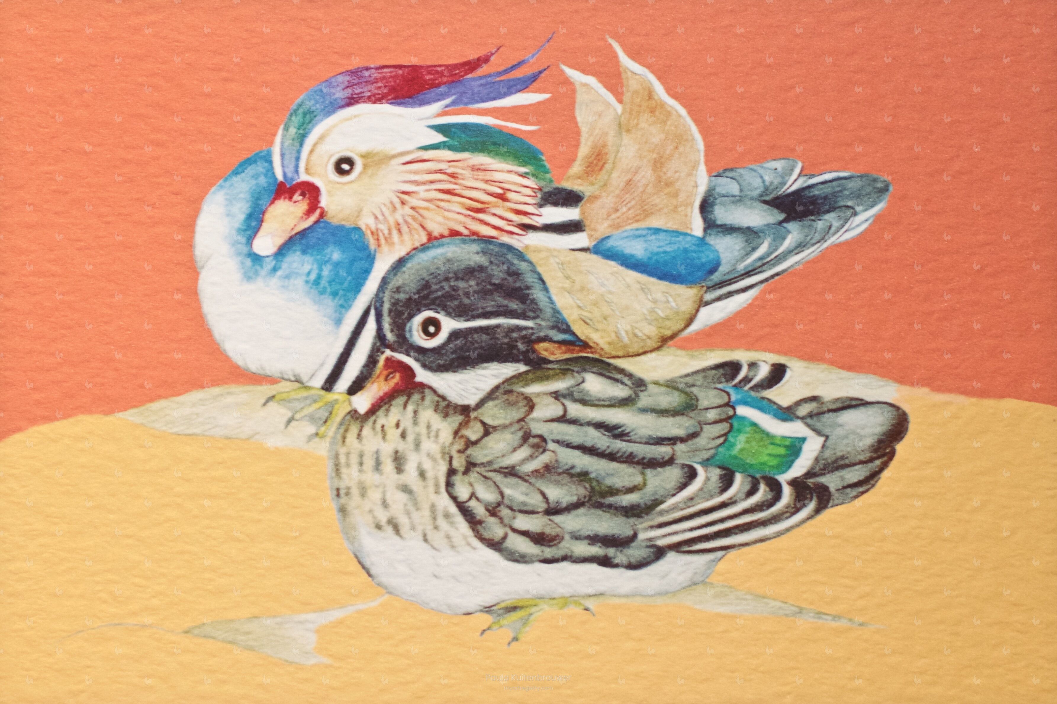 Resting Mandarin Ducks (Limited Edition 1 out of 10)