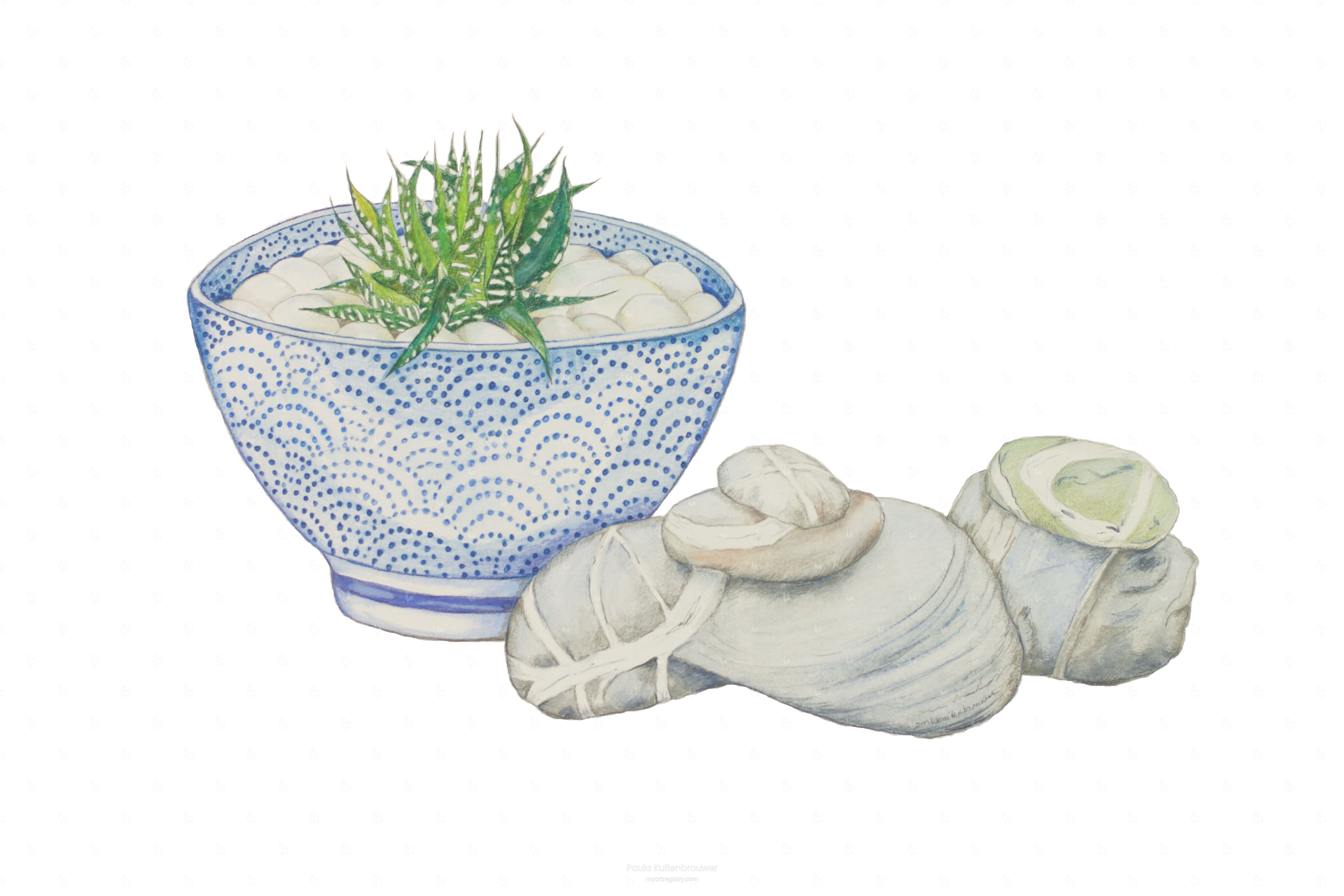 Still Life with Blue Ceramic, Zebra Cacti & Irish Killiney Beach Stones (Limi...