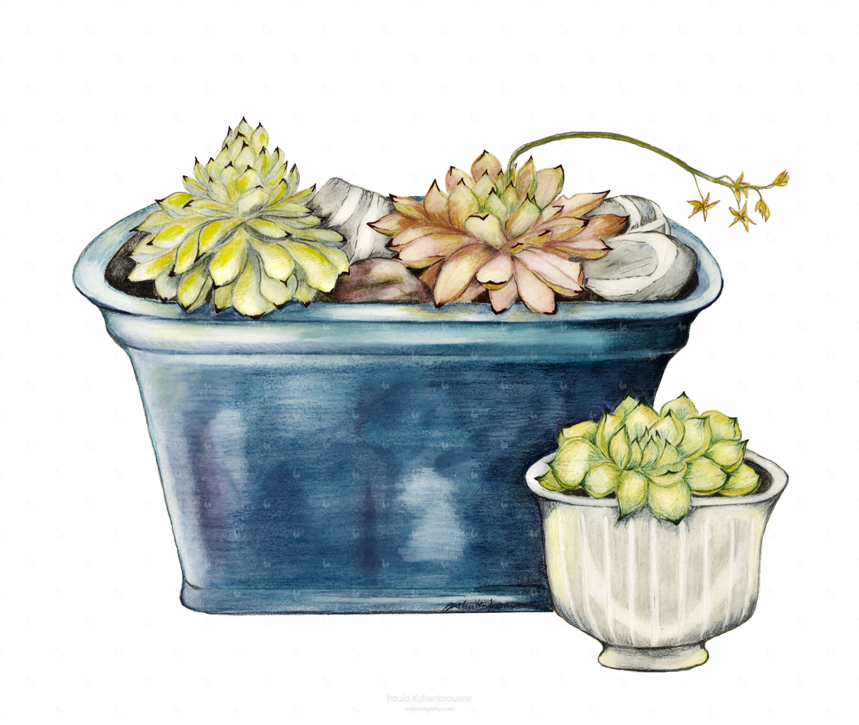 Still Life with Blue Ceramics, Irish Killiney Beach Stones and Succulents (1 ...