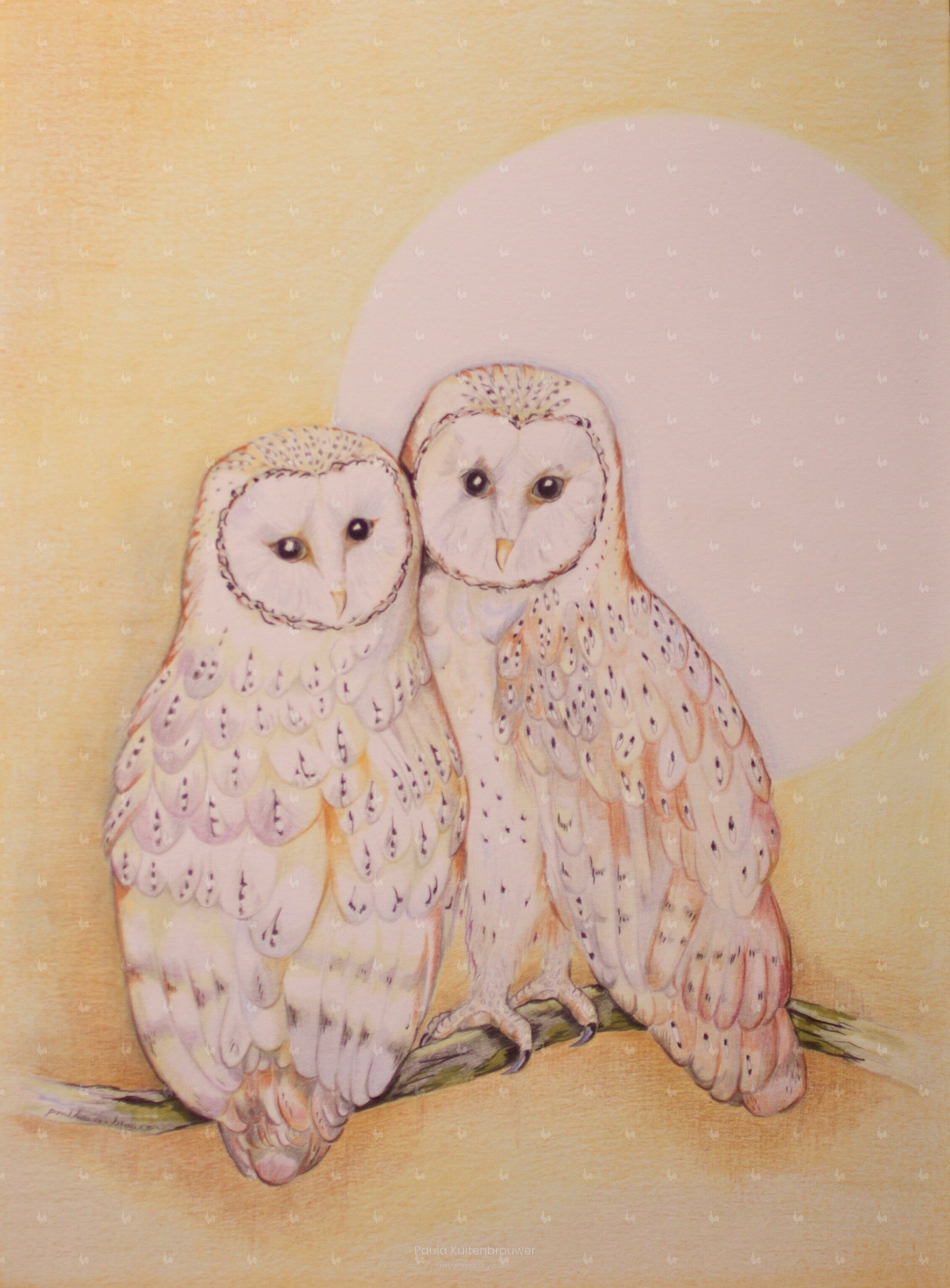 Barn Owls and Full Moon