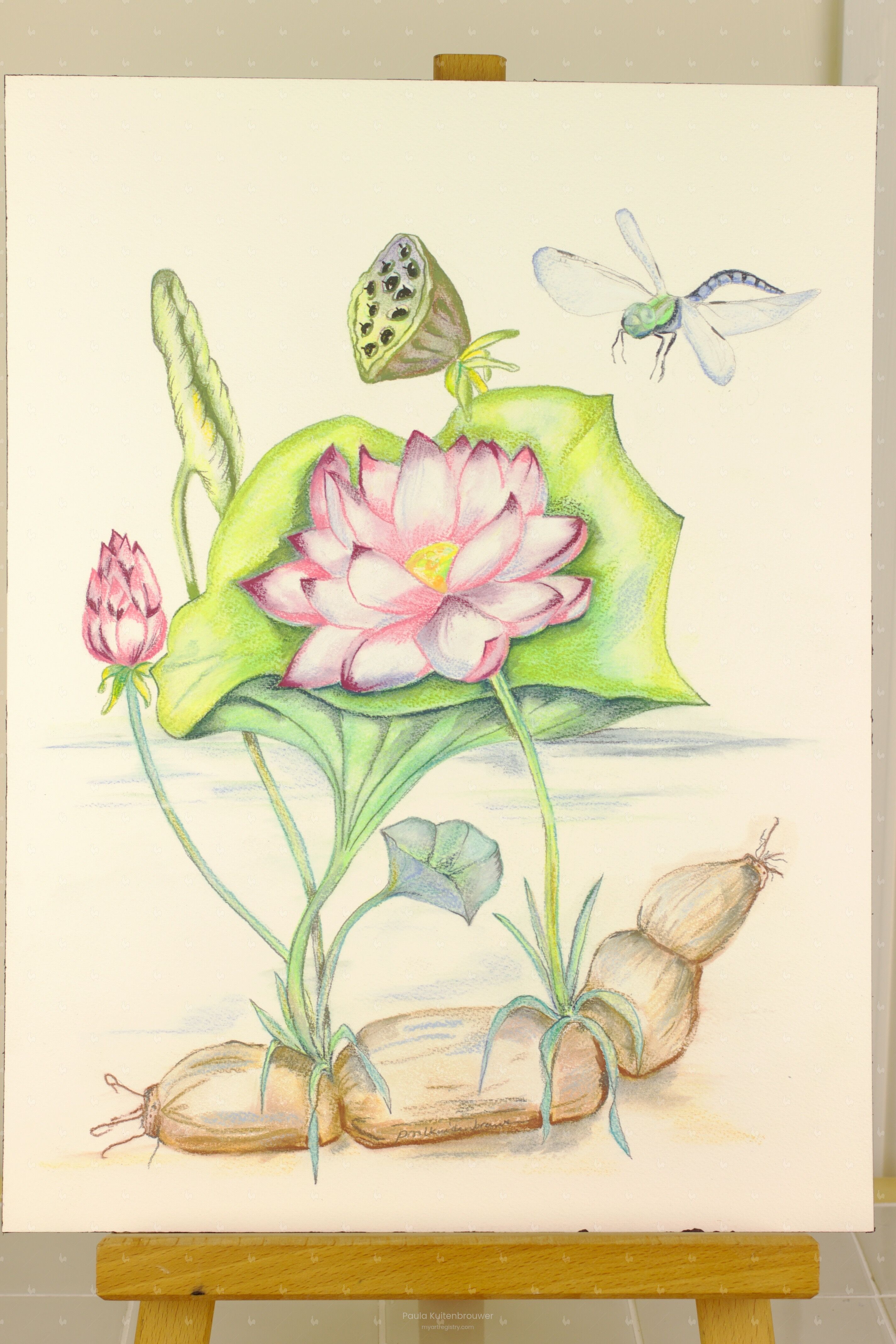 Lotus with Dragonfly (3 out of 10)