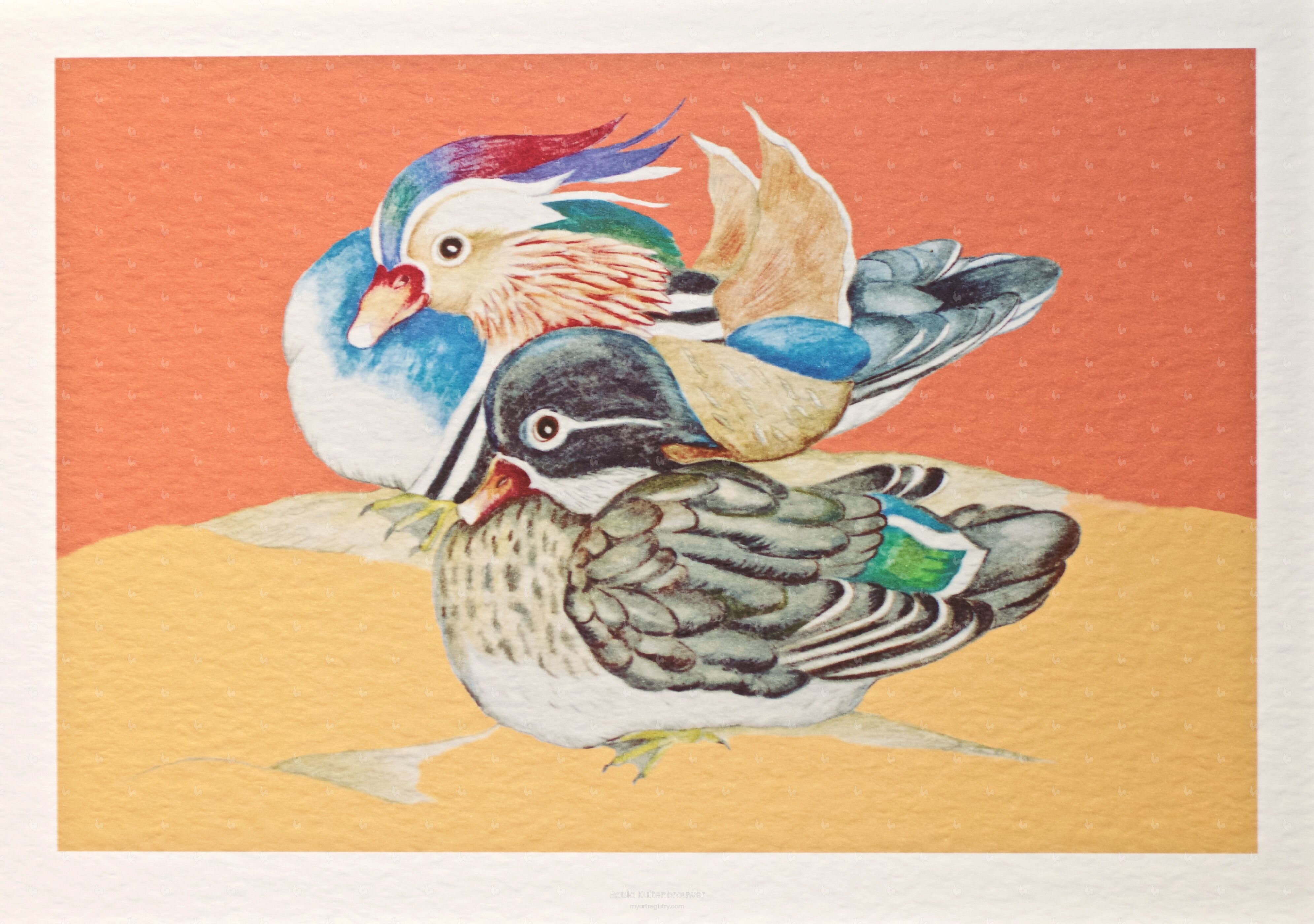 Resting Mandarin Ducks (Orange Background) (2 out of 10)