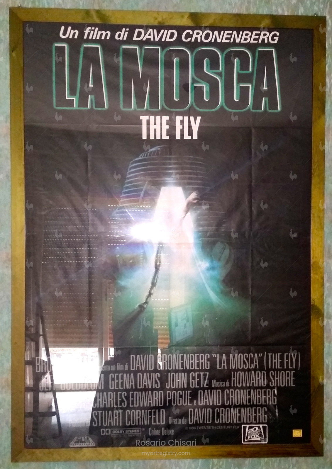 "The Fly"