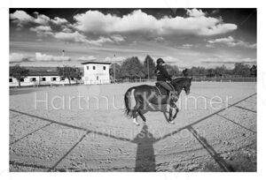 Girl on horse
