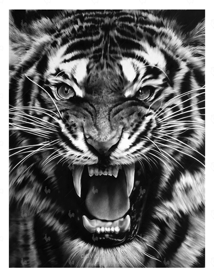 "untitled" Roaring Tiger 2015
