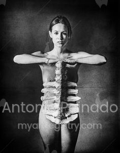 Front Back Bone