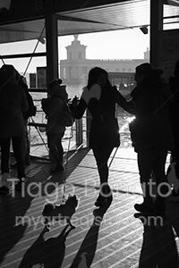 Venezia 2017