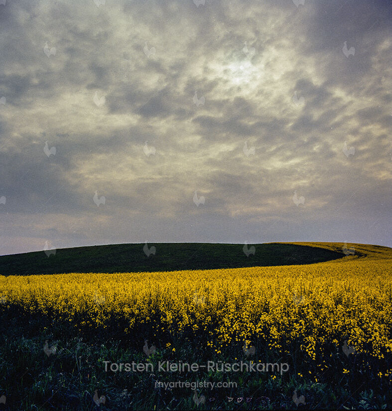 Land 1