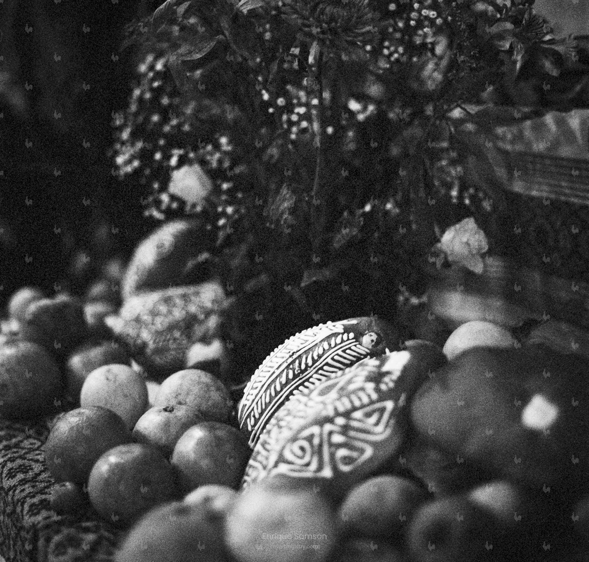 El Ombligo de la Luna - Ofrenda en Mitla (2014)