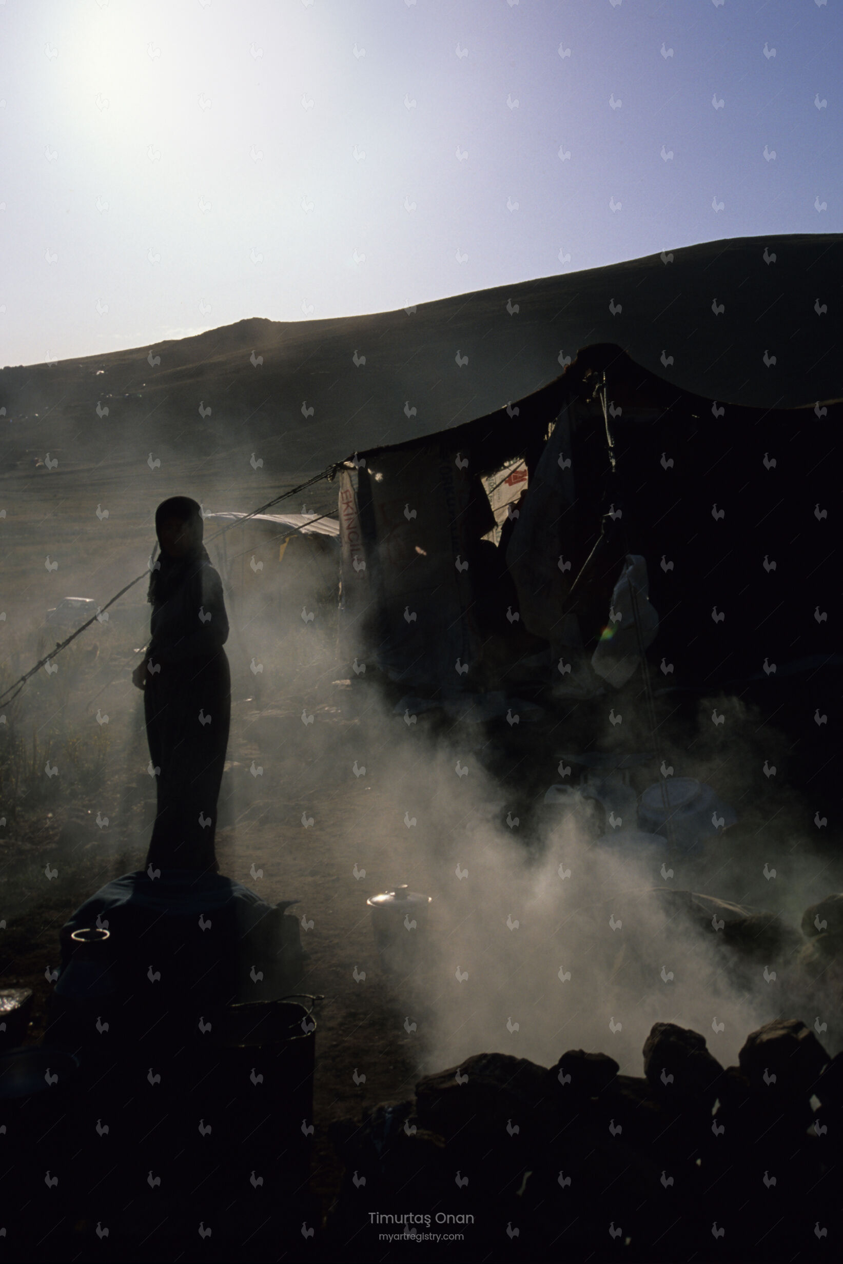 The Nomad
