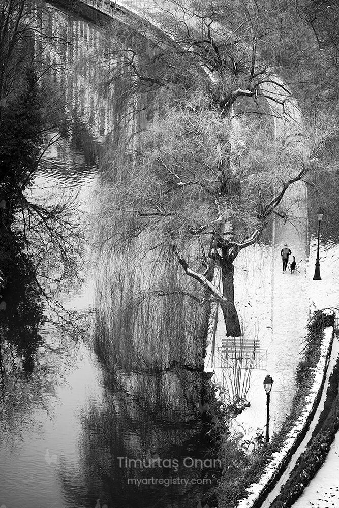 Winter Serenity