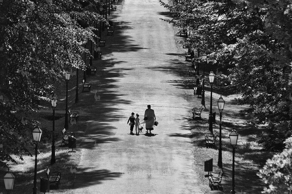 A Walk In The Park