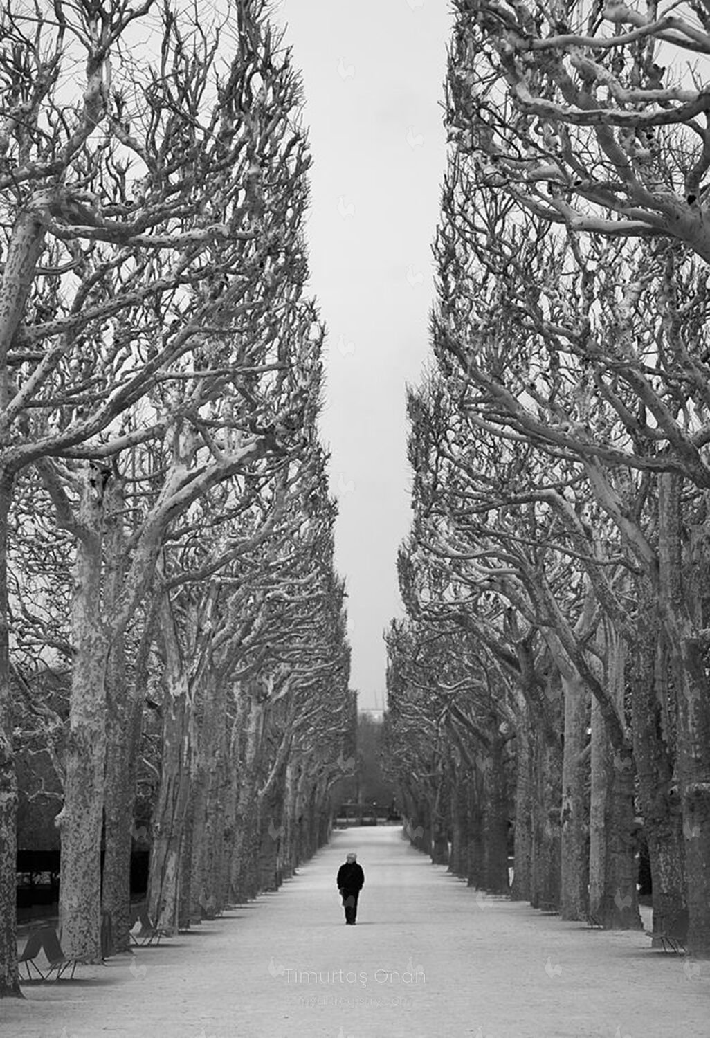 Walking Alone