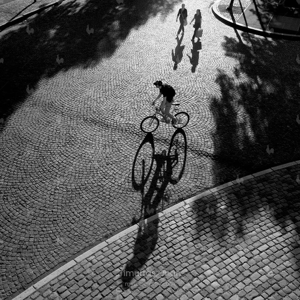 Light and Shadows in Mannheim