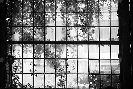 Abandoned 17