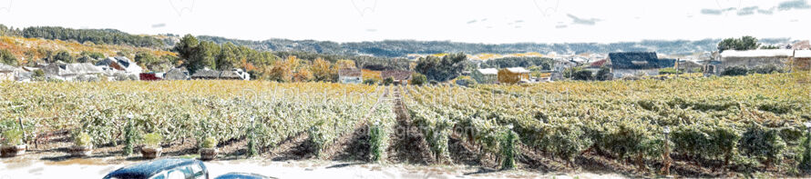 CANEDO EN OTOÑO