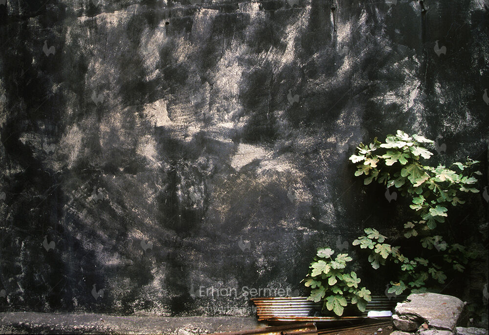 Karanlık Duvar / Dark Wall