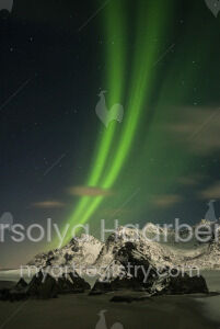 Lofoten #1