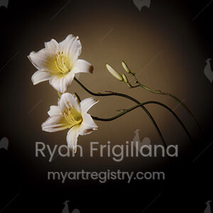 Daylilies No. 2