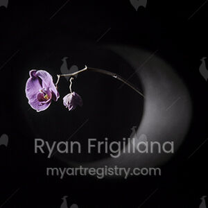 Orchid