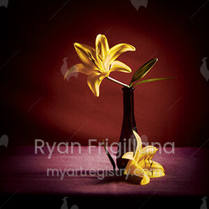 Asiatic Lilies