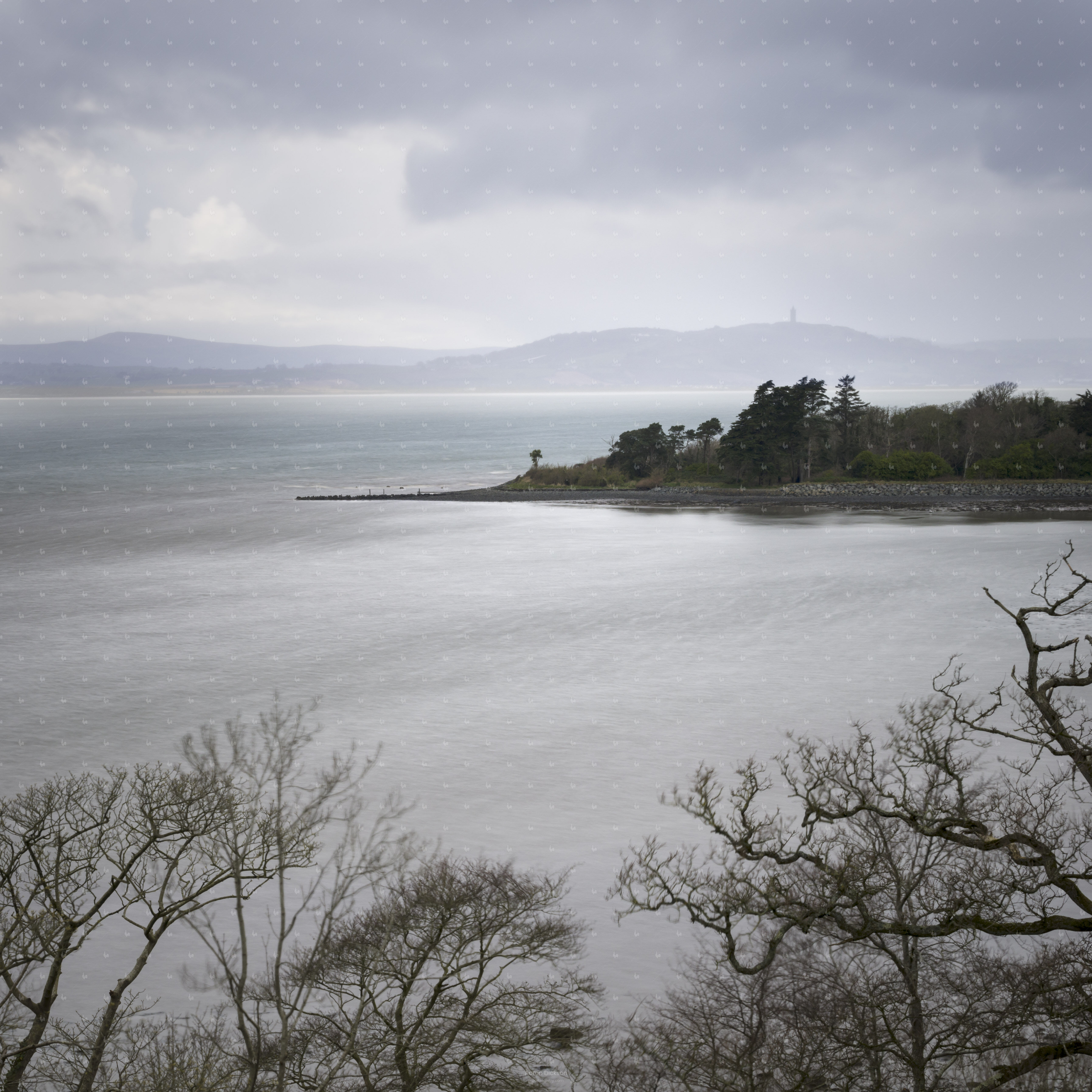 Strangford #1