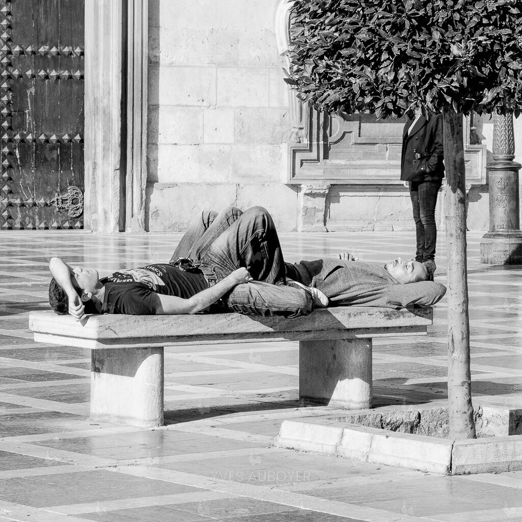 Sieste mélangée sous l'arbre sans tête