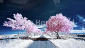 Ribonnet Road