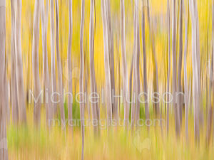 Autumn Essence XXXIII