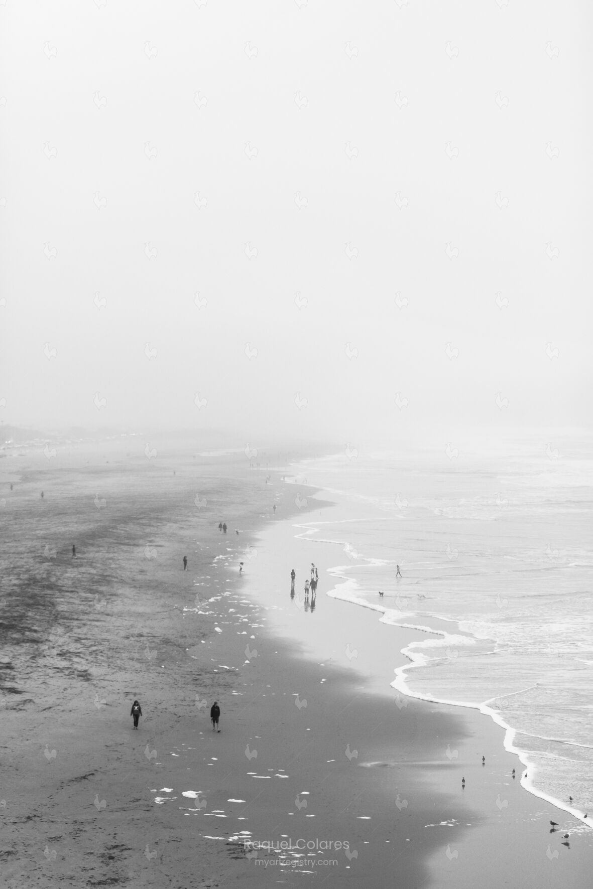 OCEAN BEACH