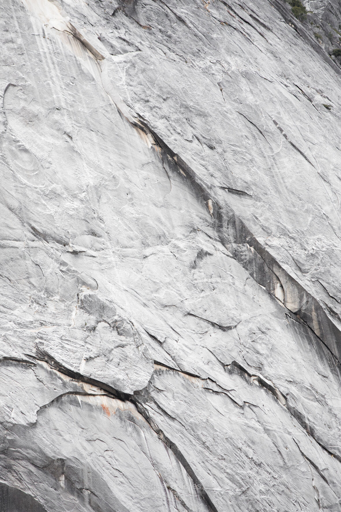 HALF DOME WHITE
