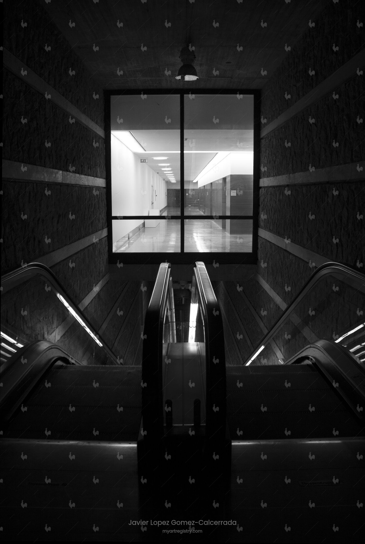 SIN TÍTULO_04 (FUGA,FRAME). SERIE REMONTES
