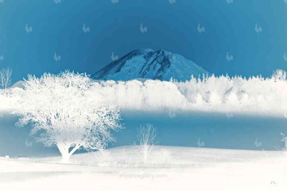 Mt. Rainier