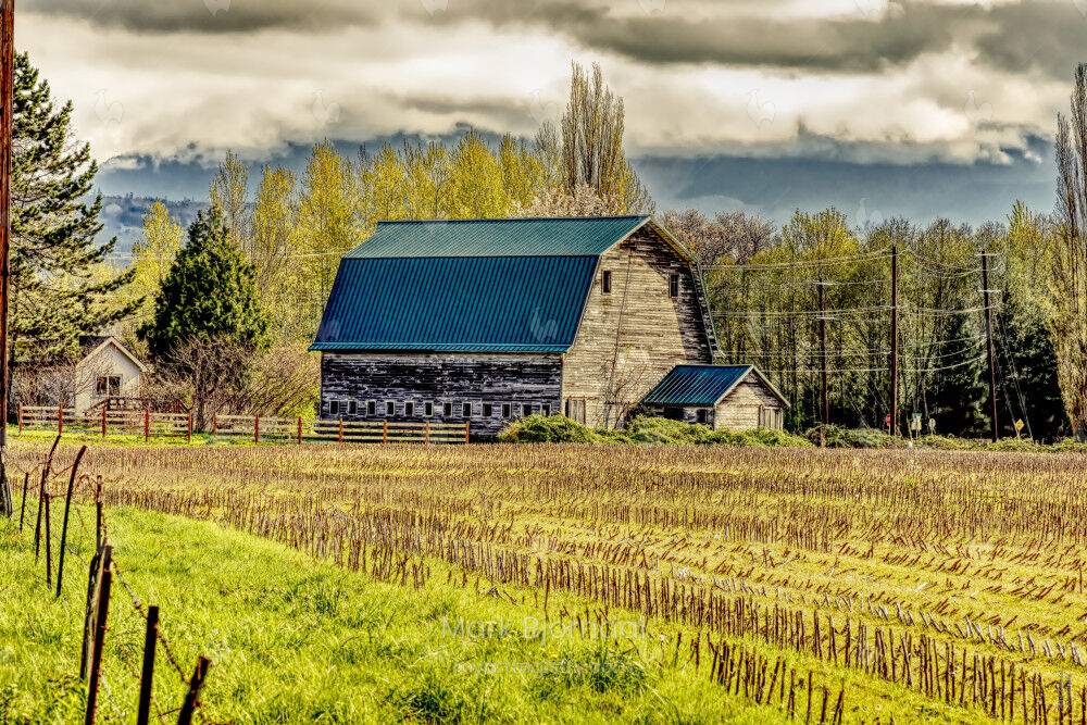 The Harvest
