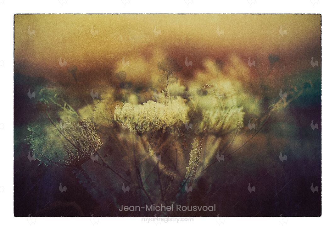 Songe d’une nuit d’hiver 2/8