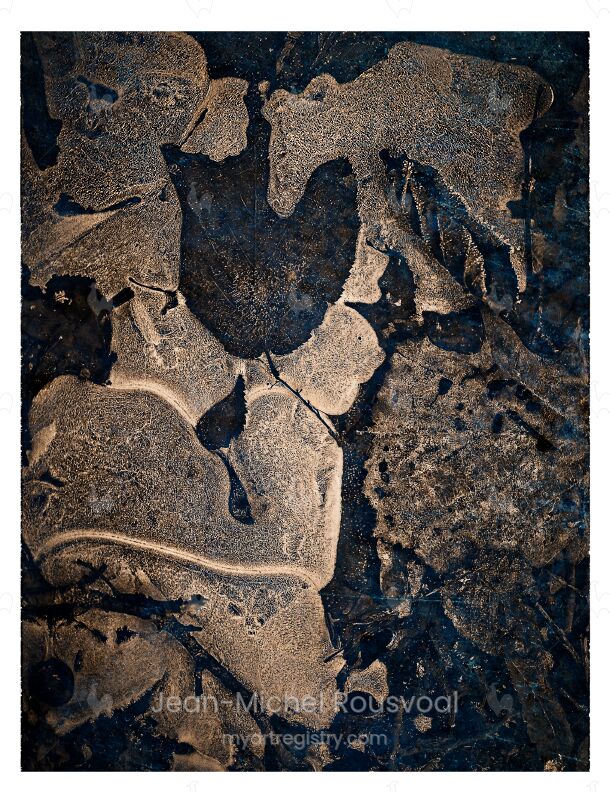 Terra Incognita