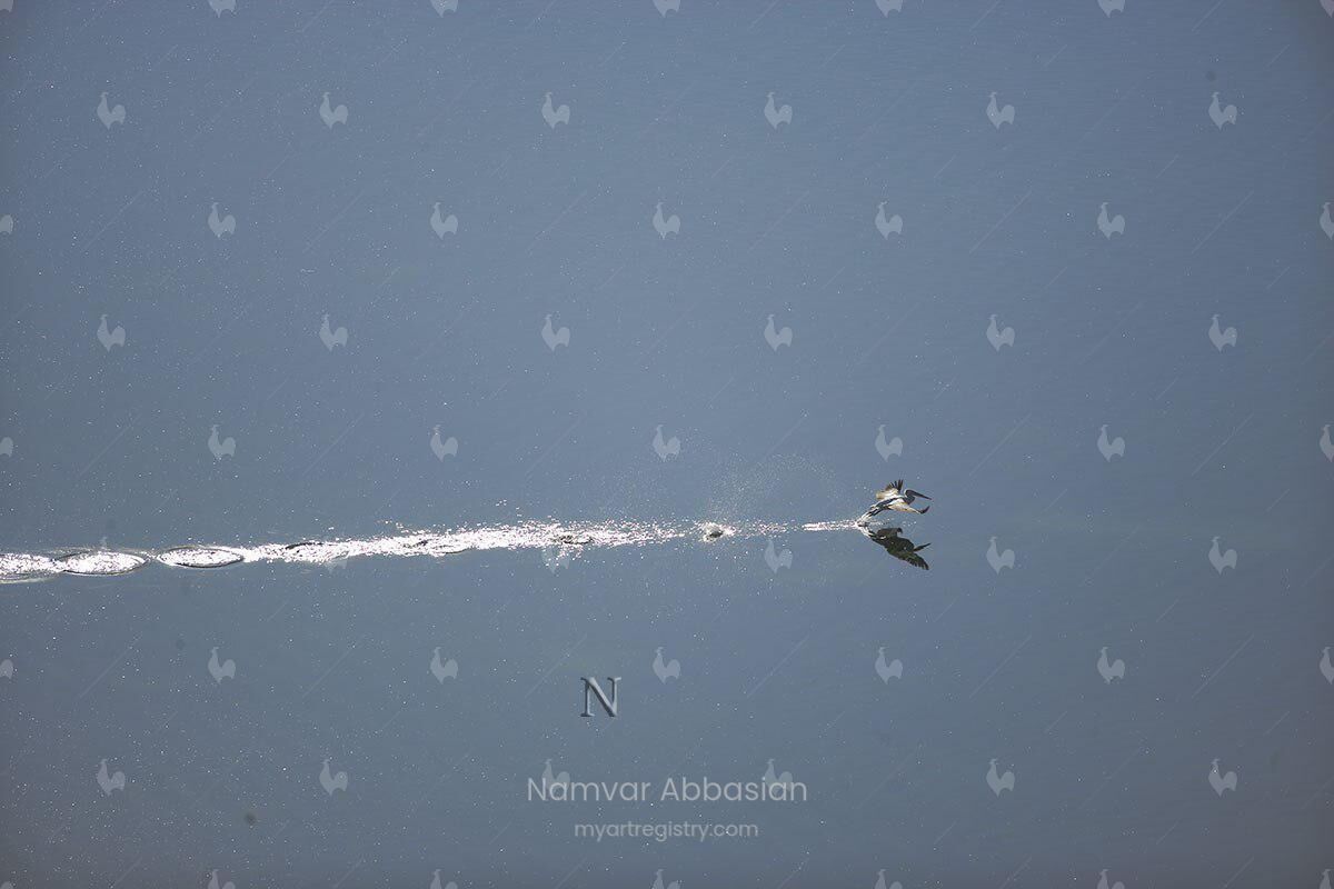 ENDEAVOURE