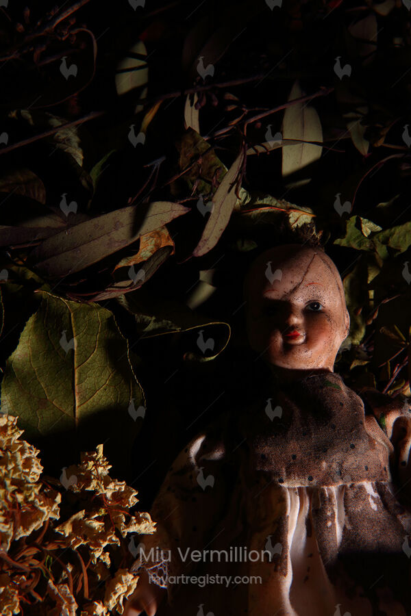 Night Vigil 4 (LE)