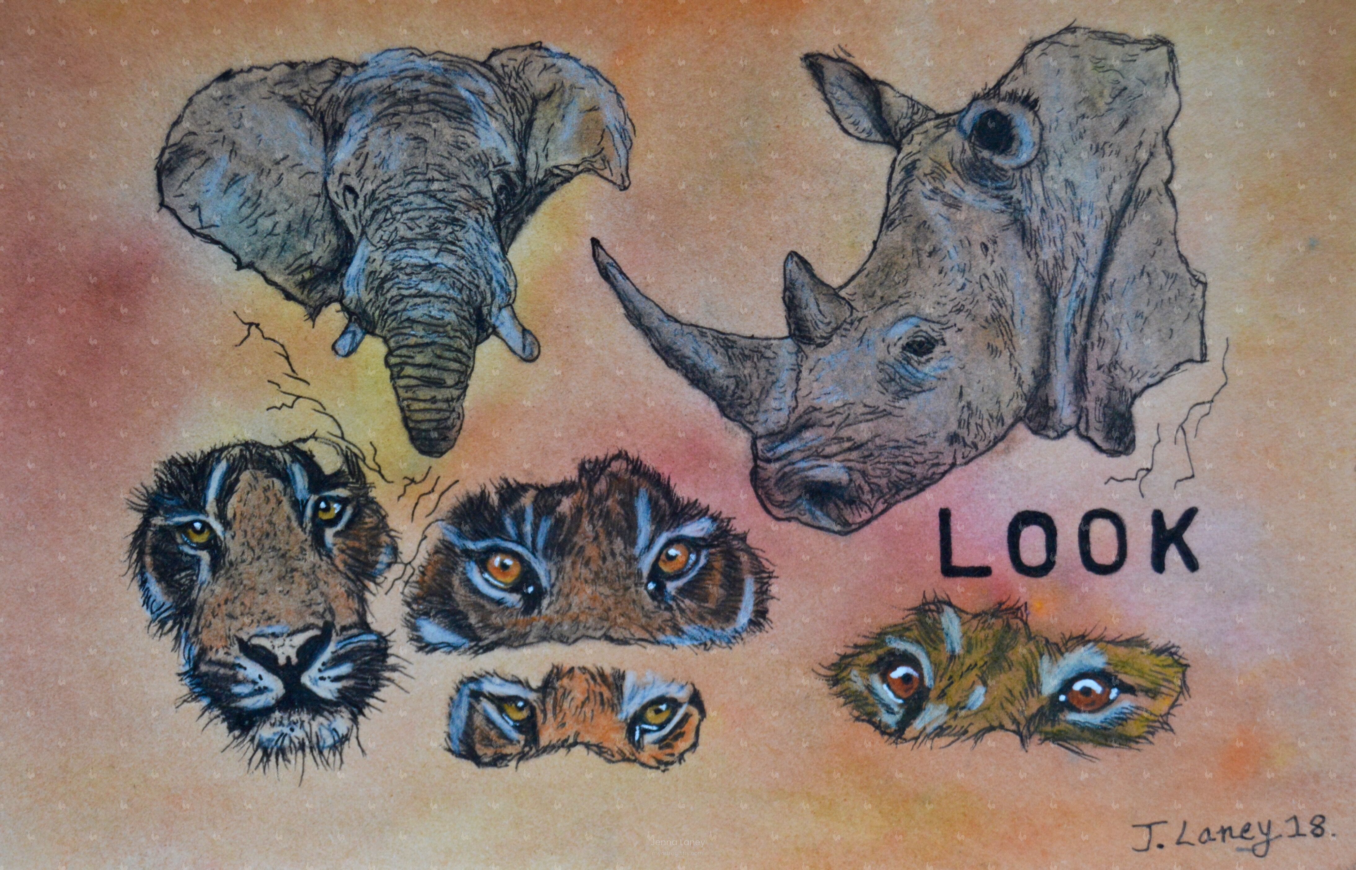 Wildlife