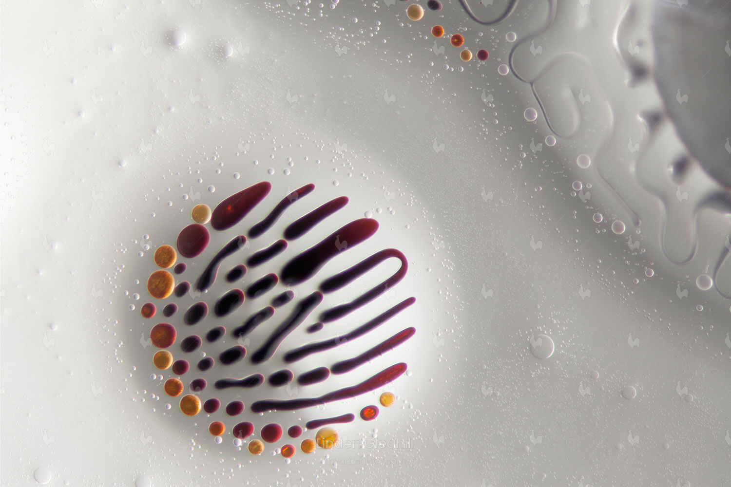 Absolutely Interesting 12x8 | Ferrofluid-P6