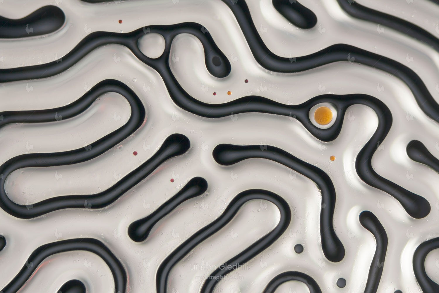 Absolutely Interesting 36x24 | Ferrofluid-P1