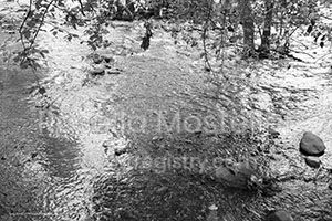 Spring Runoff in Rattlesnake Creek ll