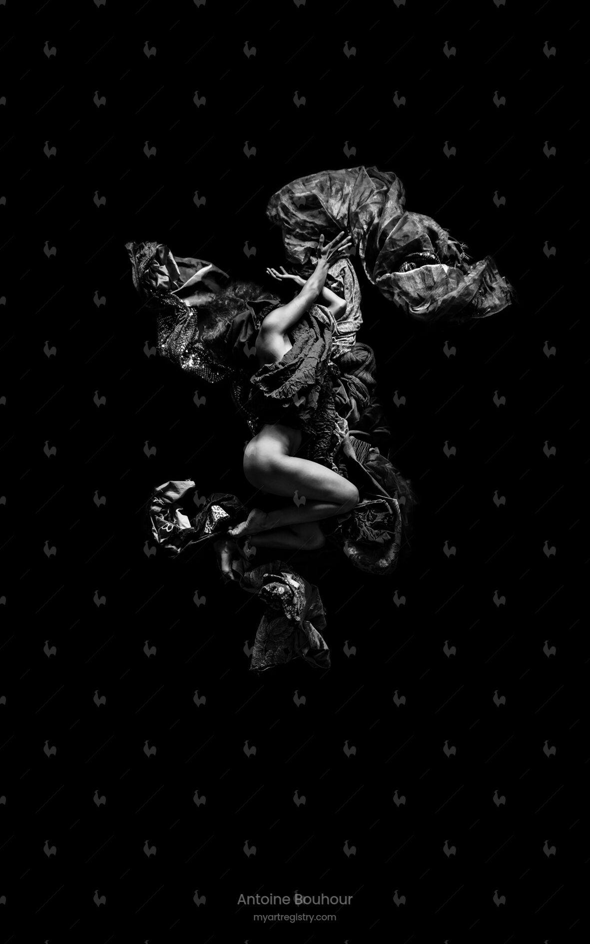 Syrinx Hamadryade, Secession
