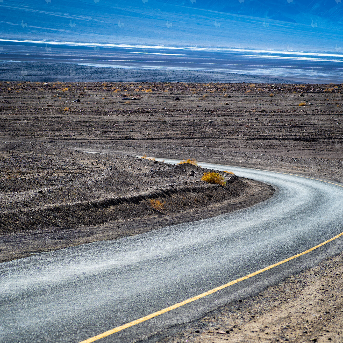Square Curve
