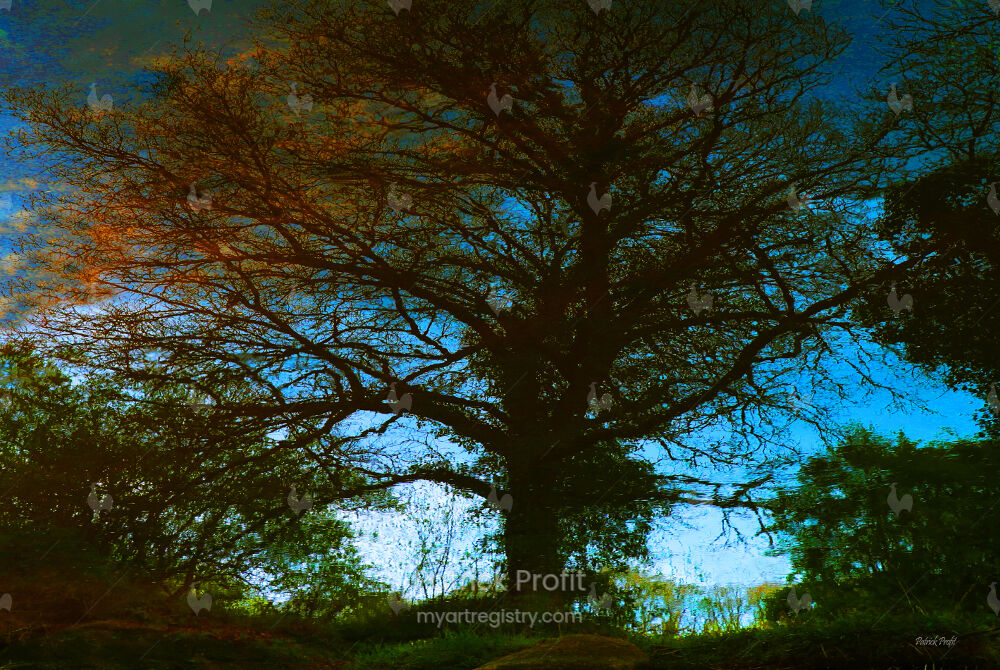 Arbre d'automne