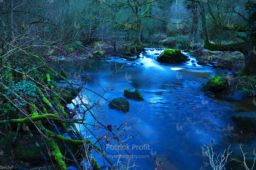Etrange Brocéliande