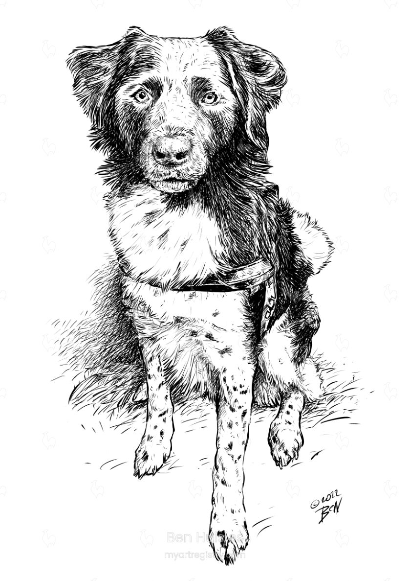Portret Sem