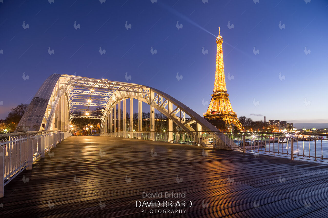 Passerelle Debilly (40 x 60 cm)