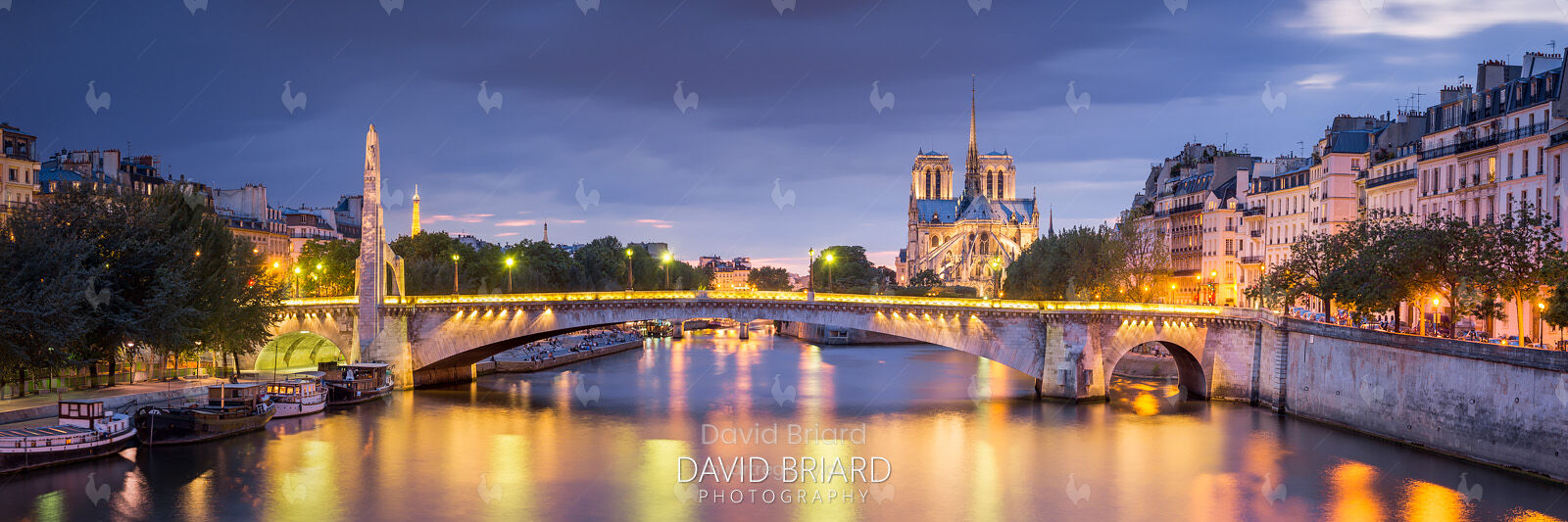 Pont de la Tournelle and Notre Dame (12" x 4")
