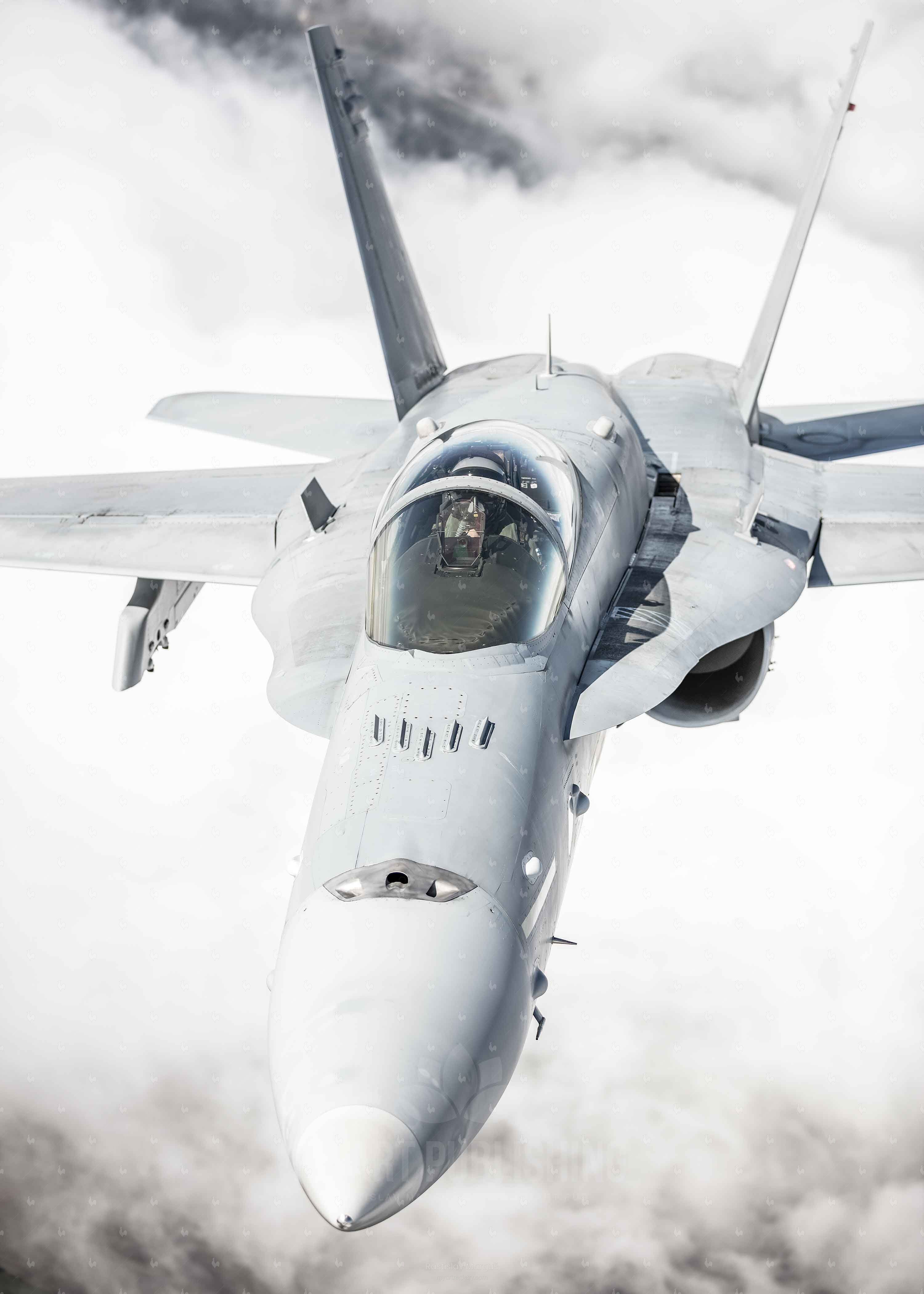 Finnish F/A-18 Hornet 1